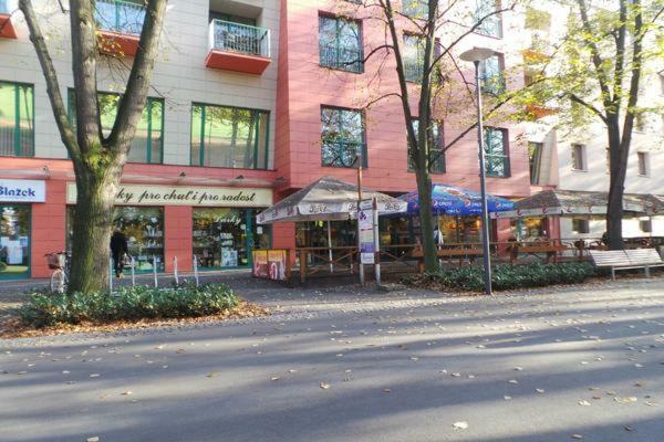 Apartment Archa Podiebrady Zewnętrze zdjęcie
